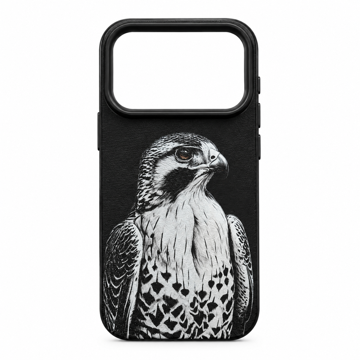 Falcon case
